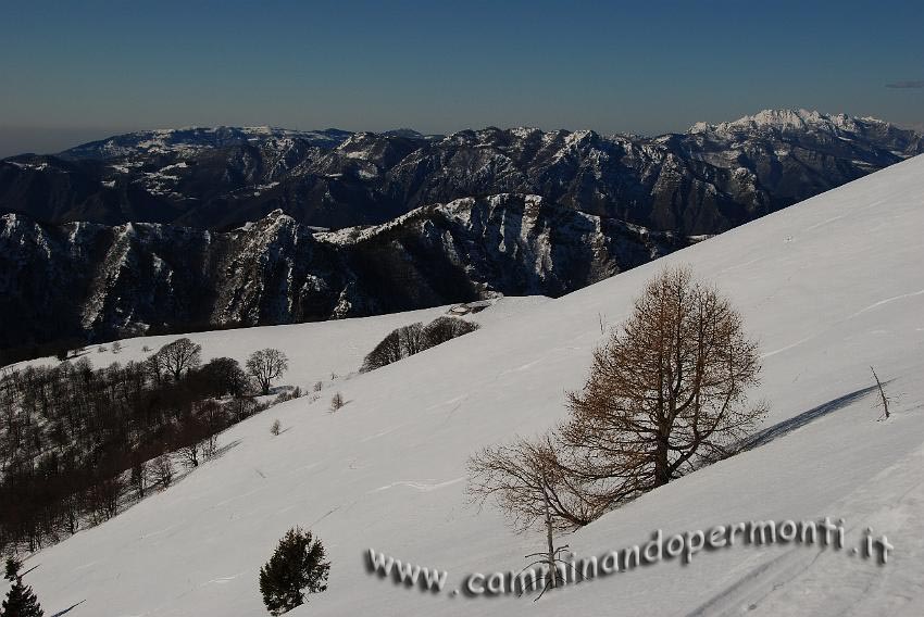 14 Panorama.jpg